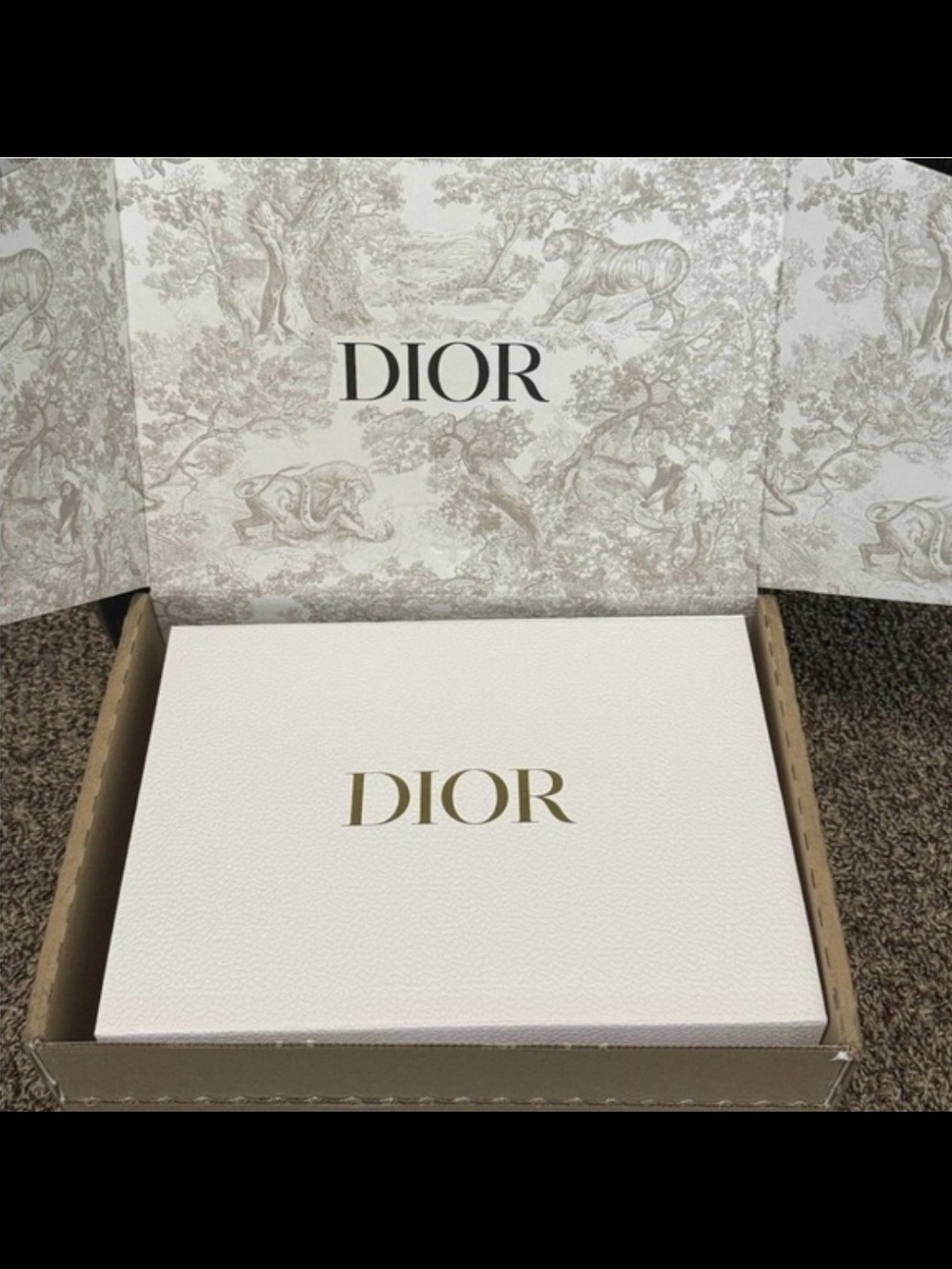 Empty Dior Box